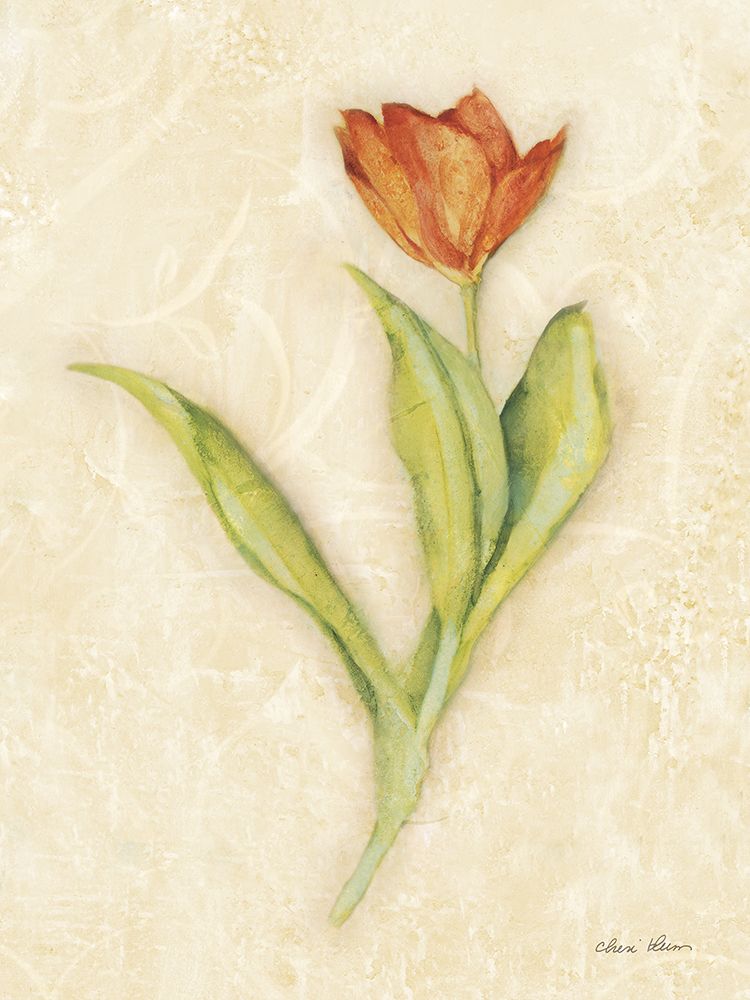 Wall Art Painting id:610699, Name: Red Tulip Stem, Artist: Blum, Cheri