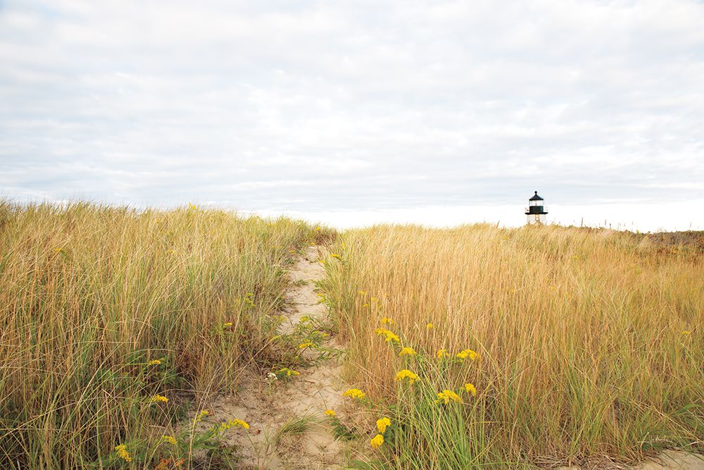 Wall Art Painting id:539281, Name: Nantucket lighthouse, Artist: Aledanda