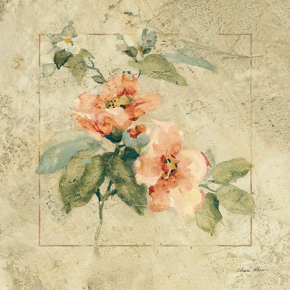 Wall Art Painting id:657564, Name: Provence Rose I, Artist: Blum, Cheri