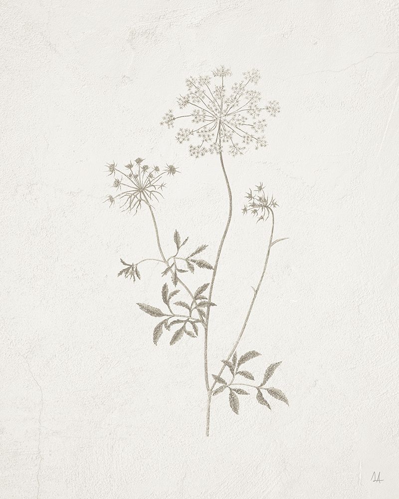 Art Print: Gifts from the Meadow III