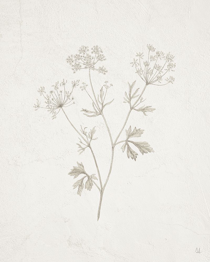 Art Print: Gifts from the Meadow IV