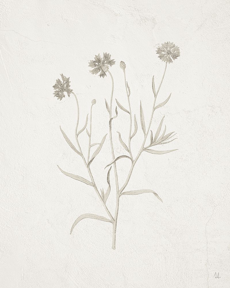 Art Print: Gifts from the Meadow V