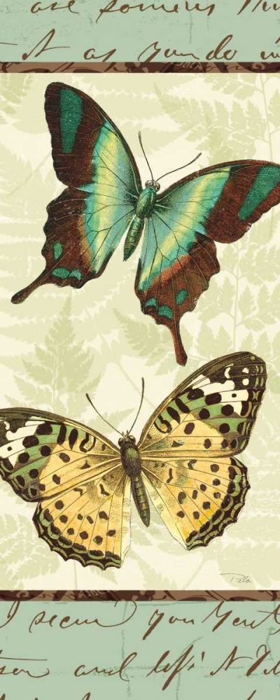 Wall Art Painting id:17857, Name: Butterfly Patchwork I, Artist: Pela Studio