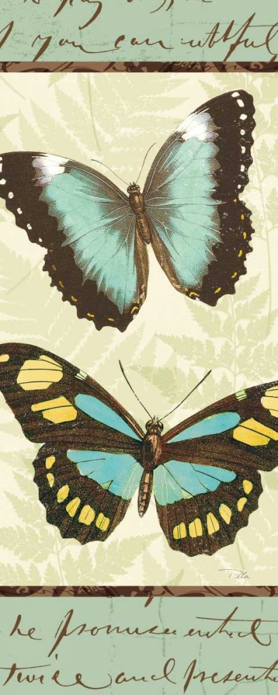 Wall Art Painting id:17858, Name: Butterfly Patchwork II, Artist: Pela Studio