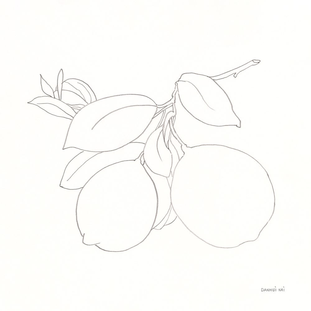 Wall Art Painting id:574709, Name: Fruitful II, Artist: Nai, Danhui