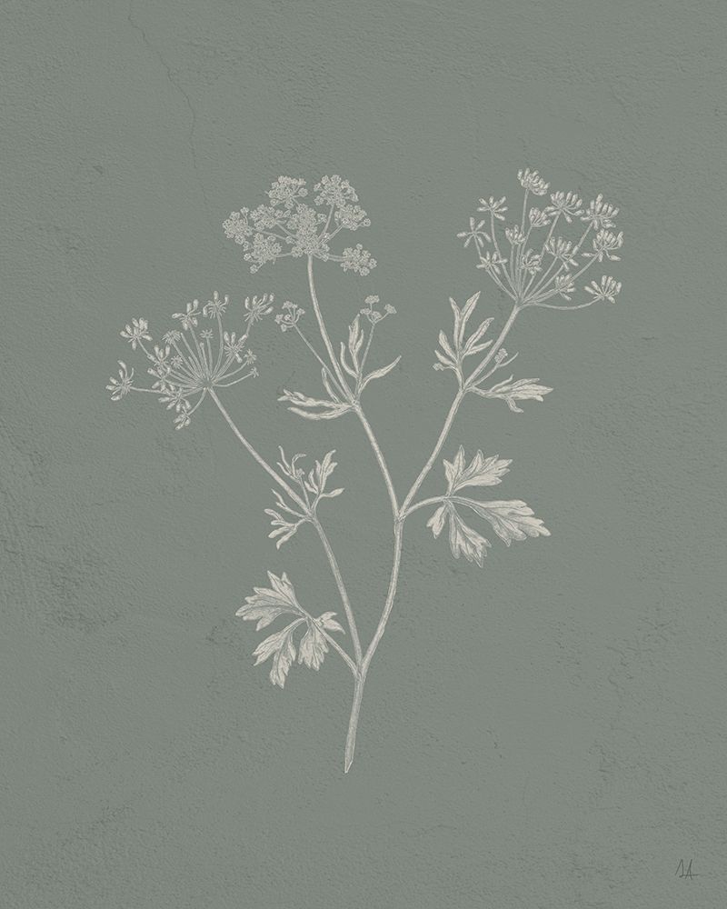 Art Print: Gifts from the Meadow IV Sage