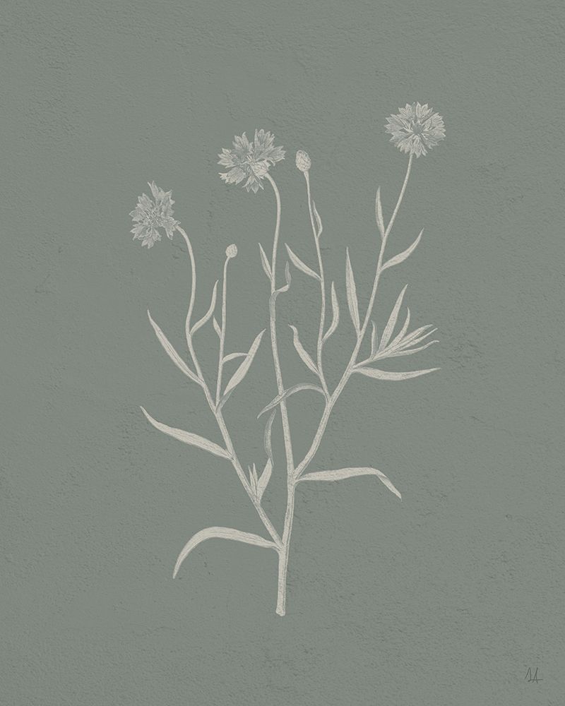 Art Print: Gifts from the Meadow V Sage