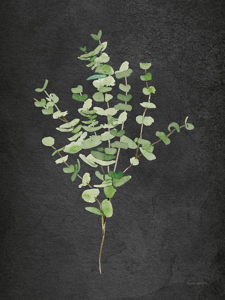 Wall Art Painting id:628196, Name: Gentle Eucalyptus on Black, Artist: Charro, Mercedes Lopez