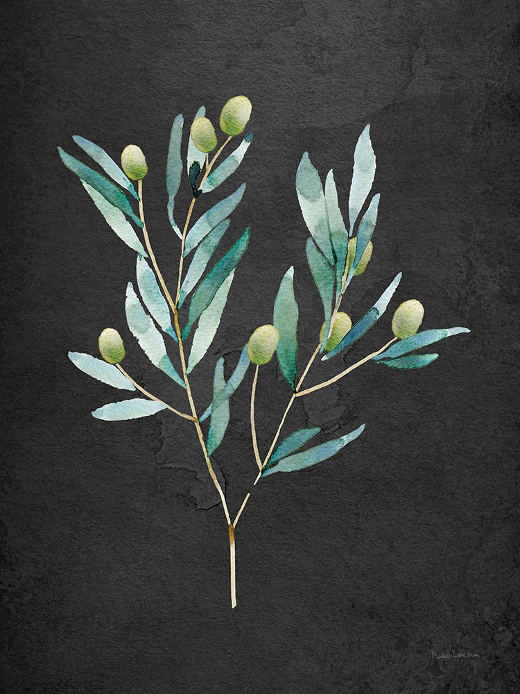 Wall Art Painting id:628197, Name: Gentle Olive Branch on Black, Artist: Charro, Mercedes Lopez