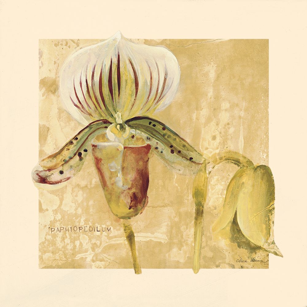 Wall Art Painting id:633516, Name: Exotic Floral II Crop, Artist: Blum, Cheri