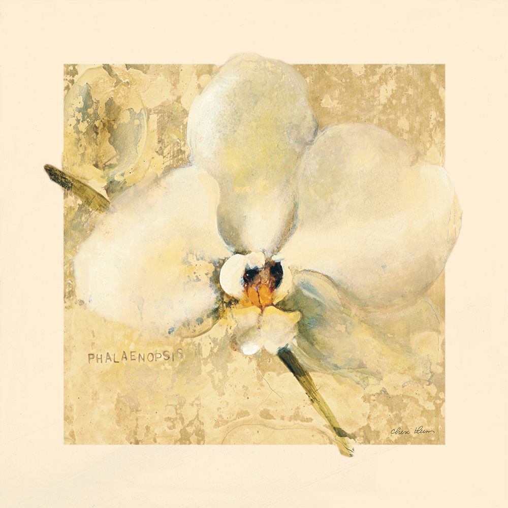 Wall Art Painting id:633515, Name: Exotic Floral III Crop, Artist: Blum, Cheri