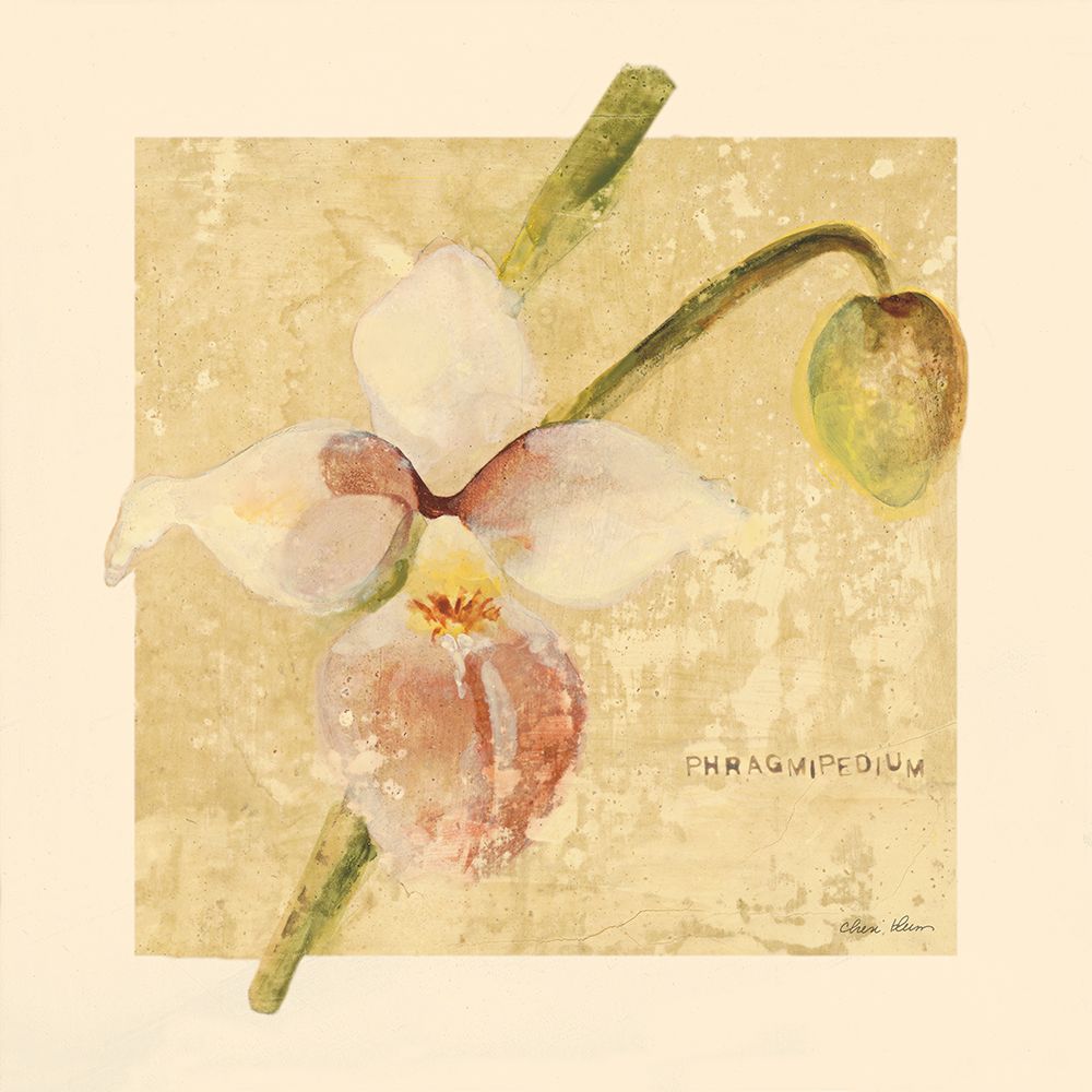 Wall Art Painting id:633514, Name: Exotic Floral IV Crop, Artist: Blum, Cheri