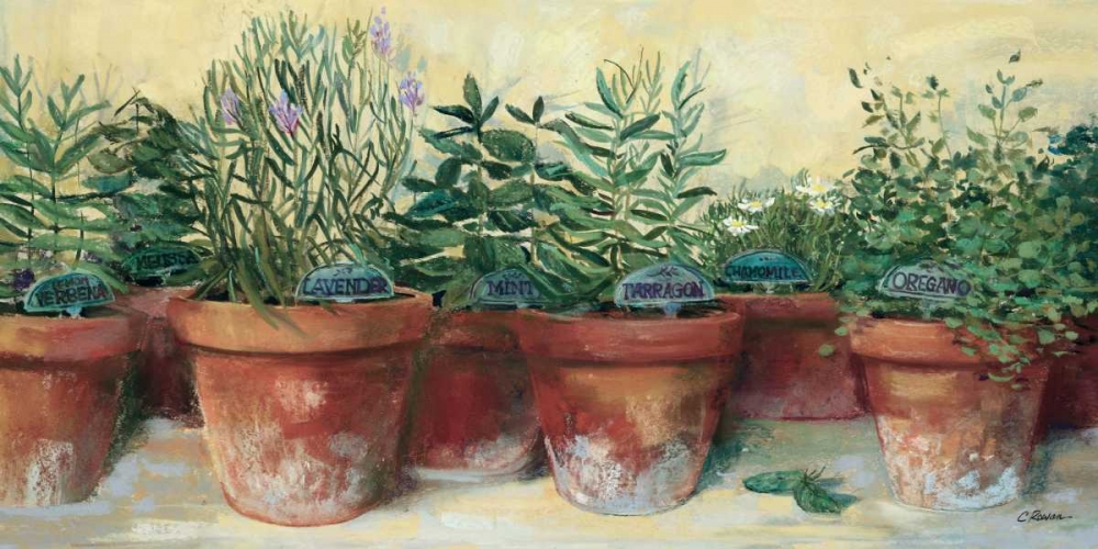 Wall Art Painting id:34051, Name: Potted Herbs I, Artist: Rowan, Carol