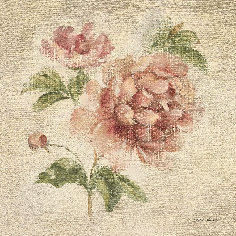 Wall Art Painting id:657896, Name: Coral Rose on Antique Linen Light, Artist: Blum, Cheri