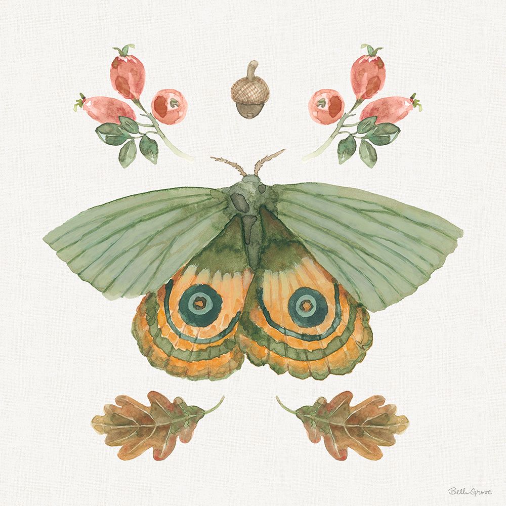 Wall Art Painting id:759987, Name: Forest Finds III, Artist: Grove, Beth