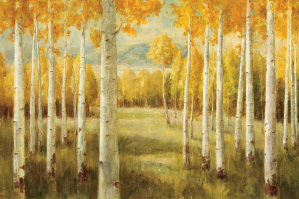 Wall Art Painting id:18480, Name: Aspens, Artist: Nai, Danhui