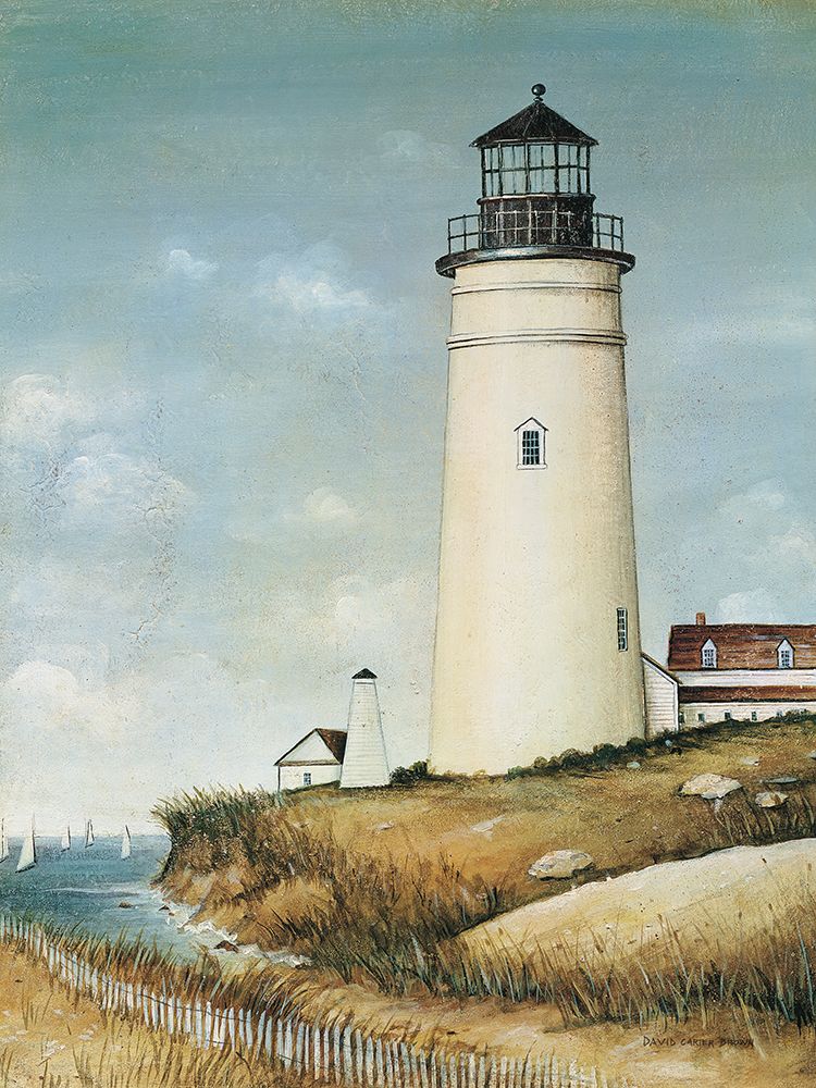 Wall Art Painting id:724853, Name: Atlantic Island, Artist: Brown, David Carter