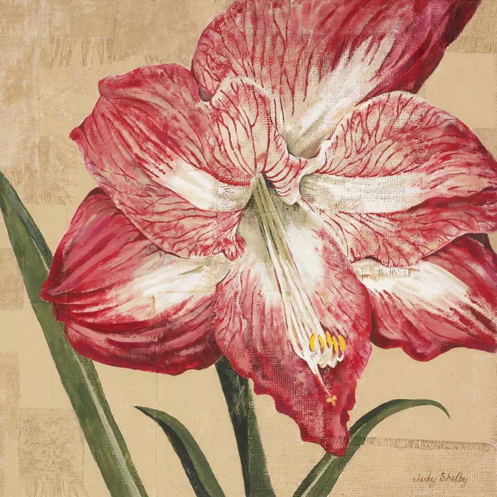 Wall Art Painting id:20454, Name: Blooming Wonder I, Artist: Shelby, Judy