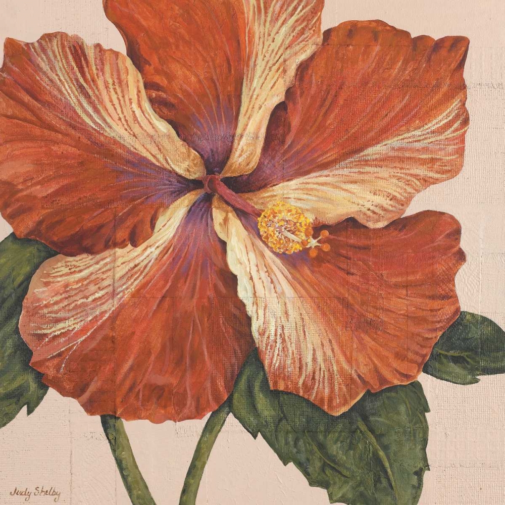 Wall Art Painting id:20462, Name: Island Hibiscus I, Artist: Shelby, Judy