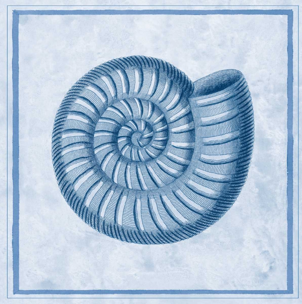 Art Print: Blue Nautilus A