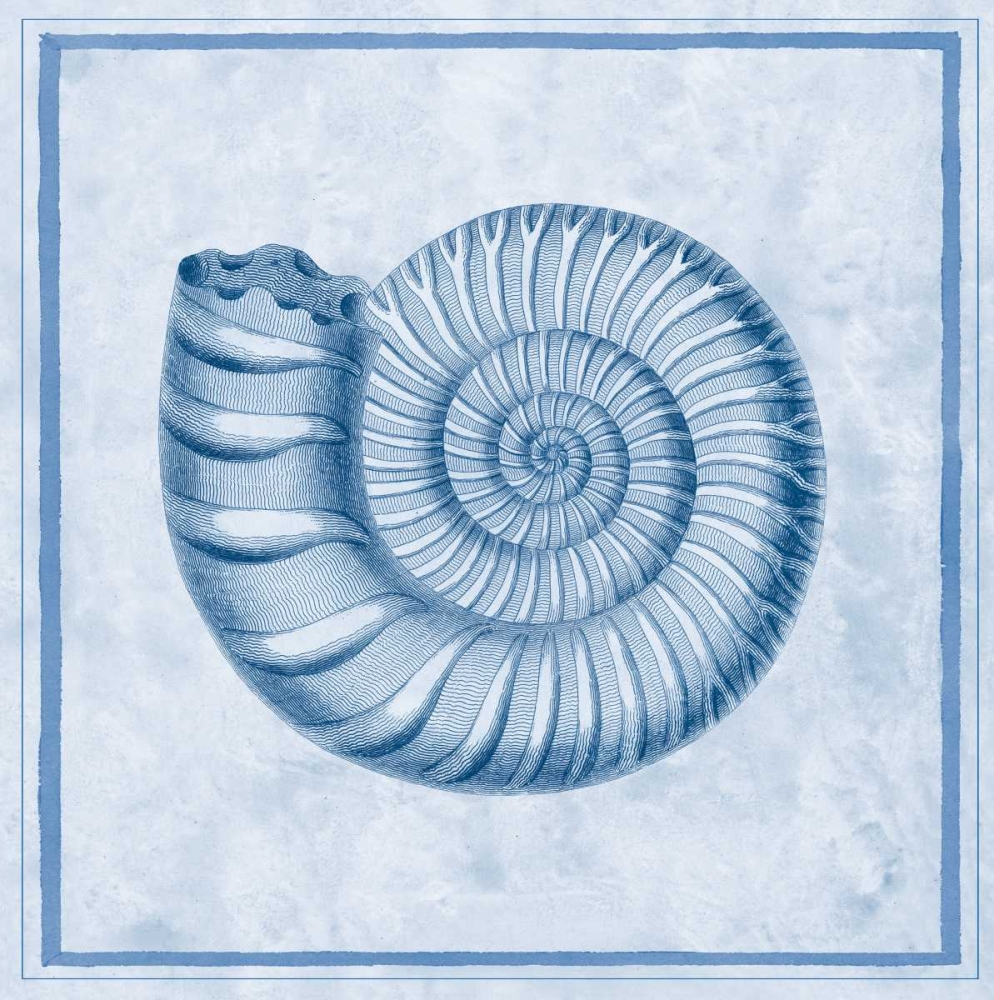 Art Print: Blue Nautilus B