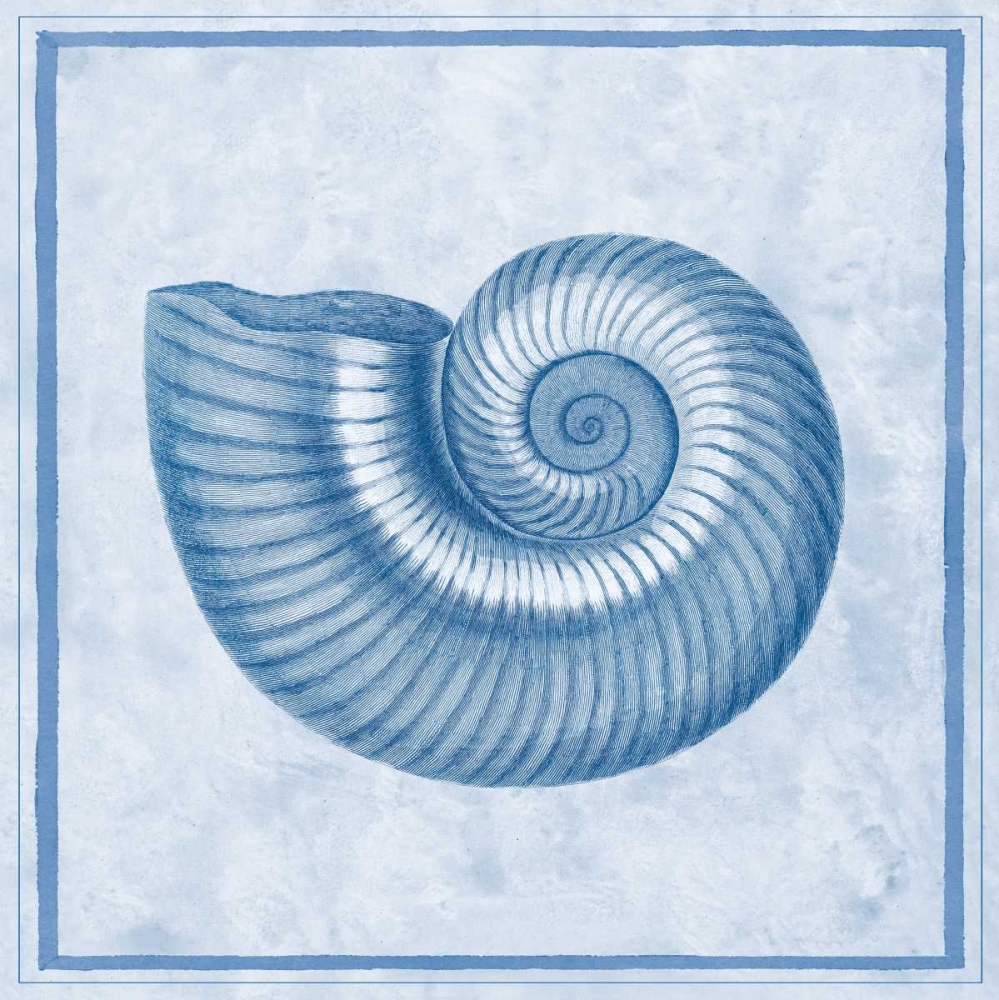 Art Print: Blue Nautilus D