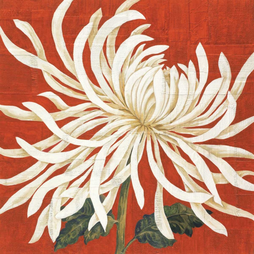 Wall Art Painting id:20561, Name: Spider Mum I, Artist: Shelby, Judy