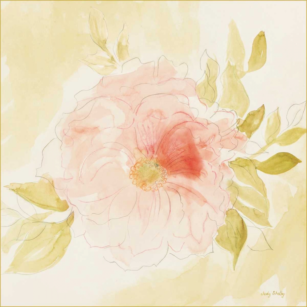 Wall Art Painting id:20568, Name: Stardust Peony, Artist: Shelby, Judy