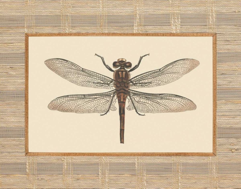 Similar wall art painting: 20624