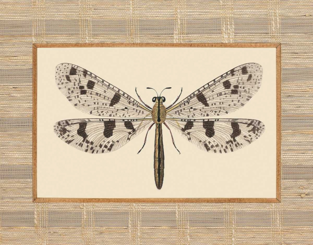 Art Print: Delicate Dancer III