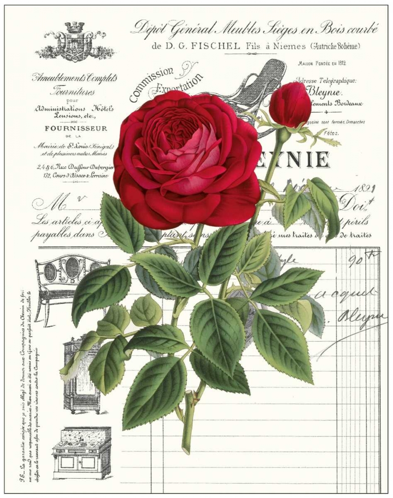 Art Print: Heirloom Roses B