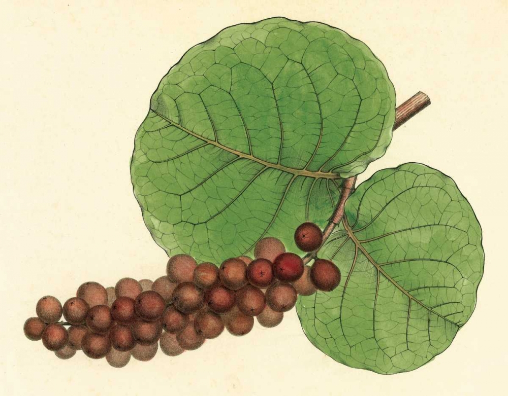 Similar wall art painting: 20683