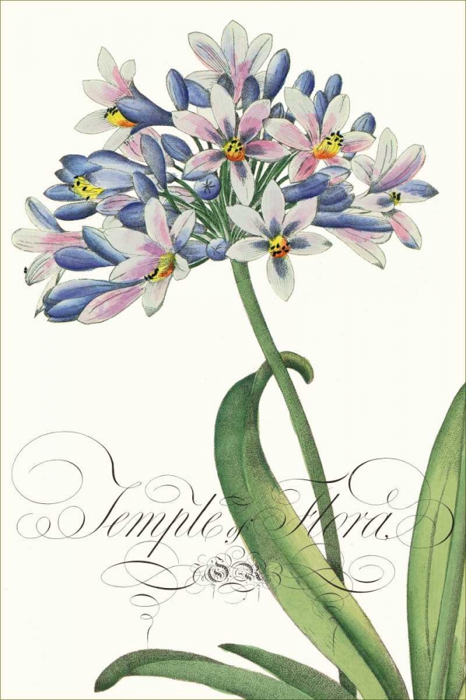 Art Print: Modern Atelier I