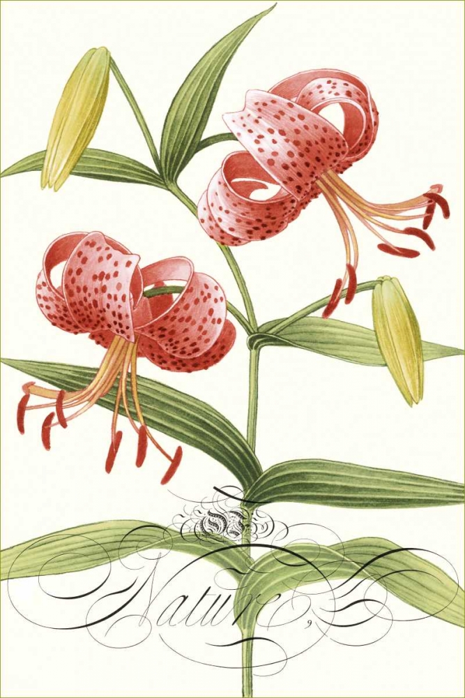 Art Print: Modern Atelier II