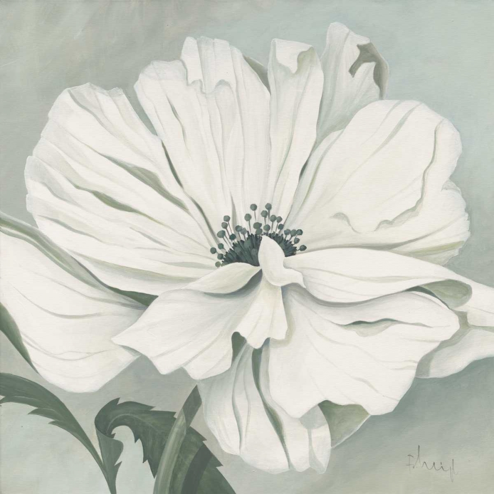 Wall Art Painting id:19417, Name: White poppy, Artist: Heigl, Franz