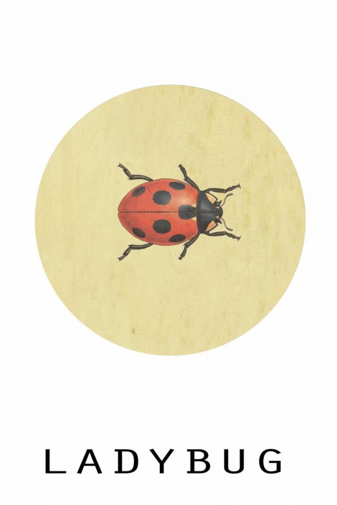 Wall Art Painting id:166080, Name: Ladybug, Artist: Waltz, Anne