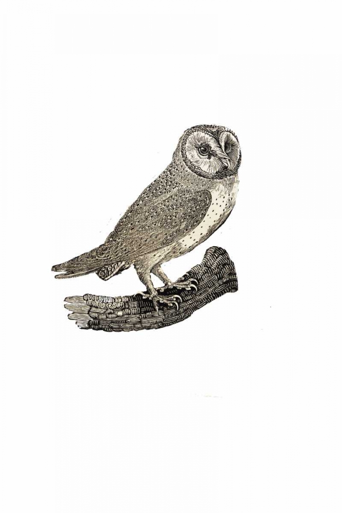 Similar wall art painting: 166089