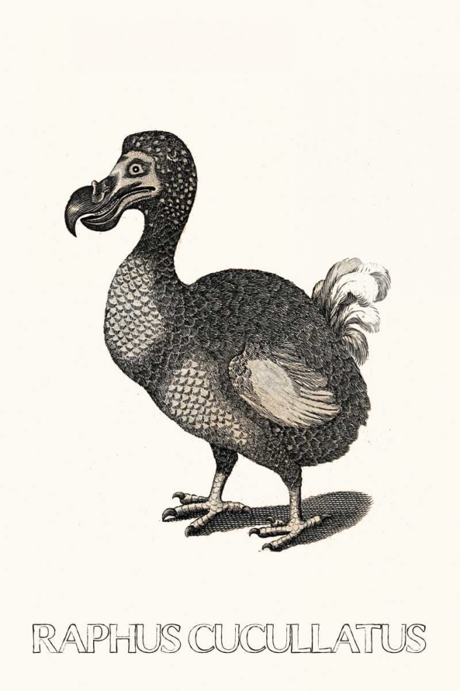 Similar wall art painting: 166093