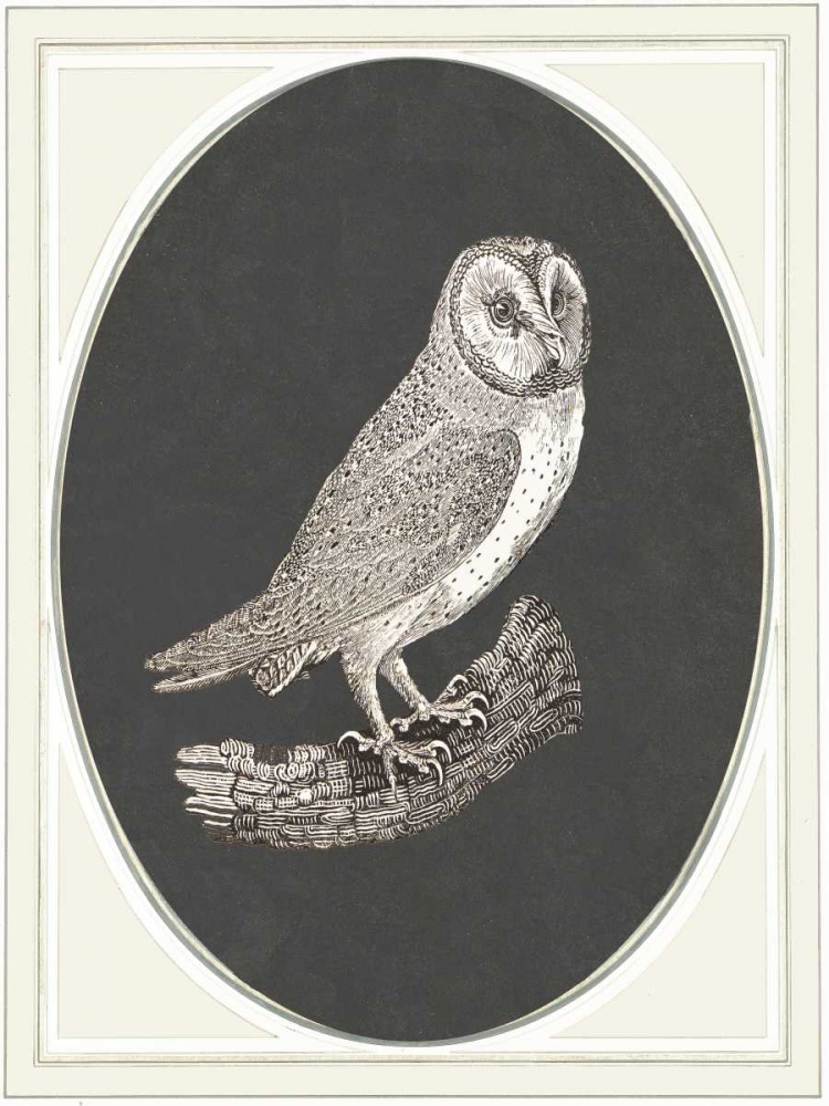 Similar wall art painting: 166105