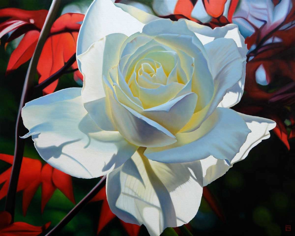 Wall Art Painting id:81362, Name: Summers Last Rose, Artist: Schuh, Michael
