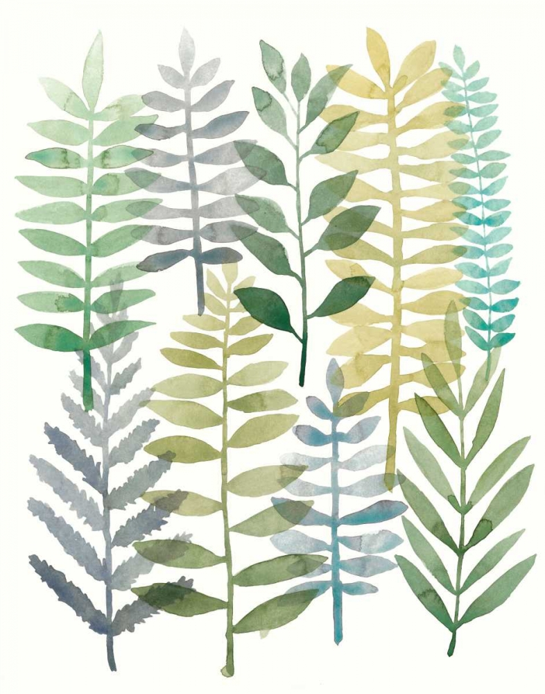 Wall Art Painting id:120560, Name: Watercolor Botany I, Artist: Meagher, Megan