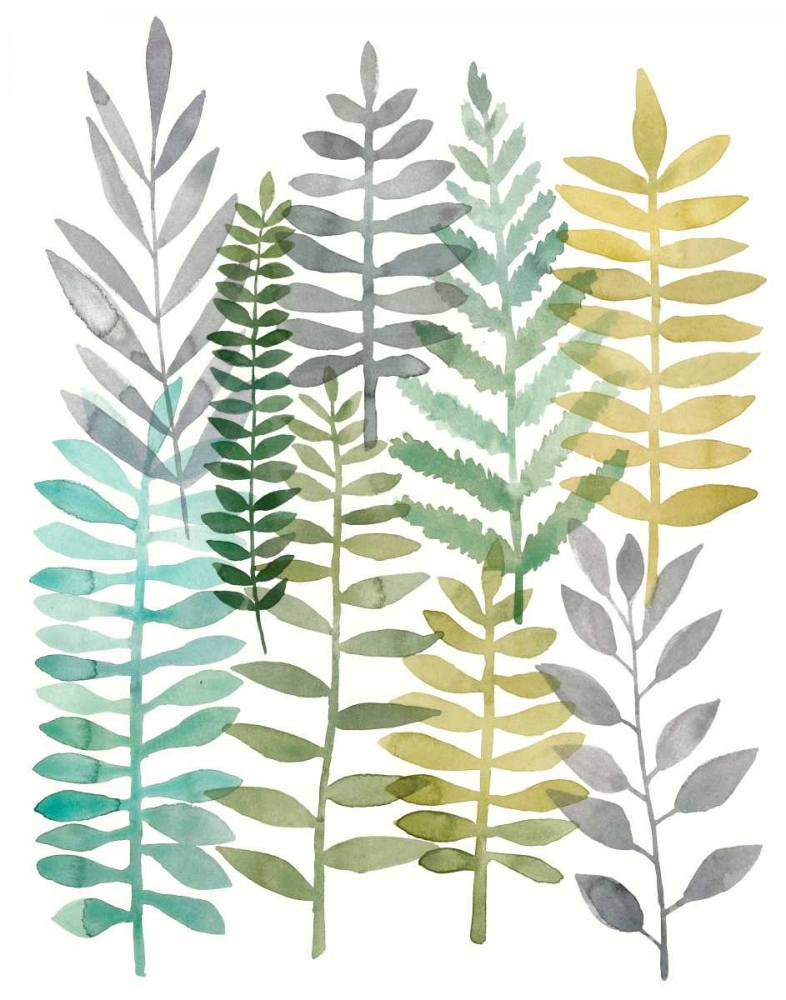 Wall Art Painting id:120561, Name: Watercolor Botany II, Artist: Meagher, Megan