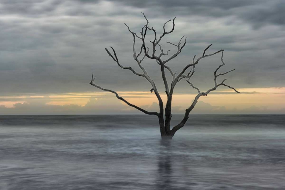 Similar wall art painting: 147286