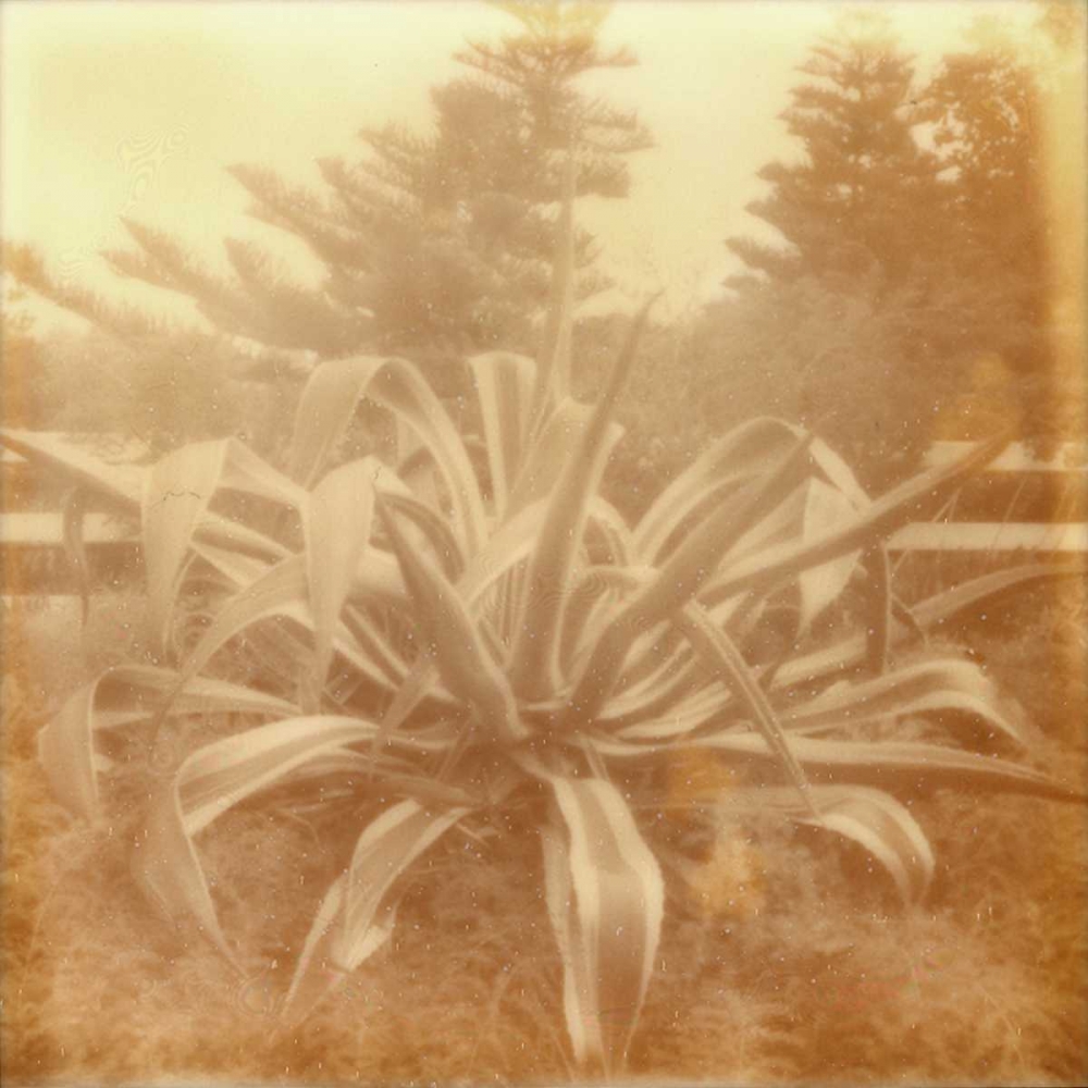 Similar wall art painting: 147522