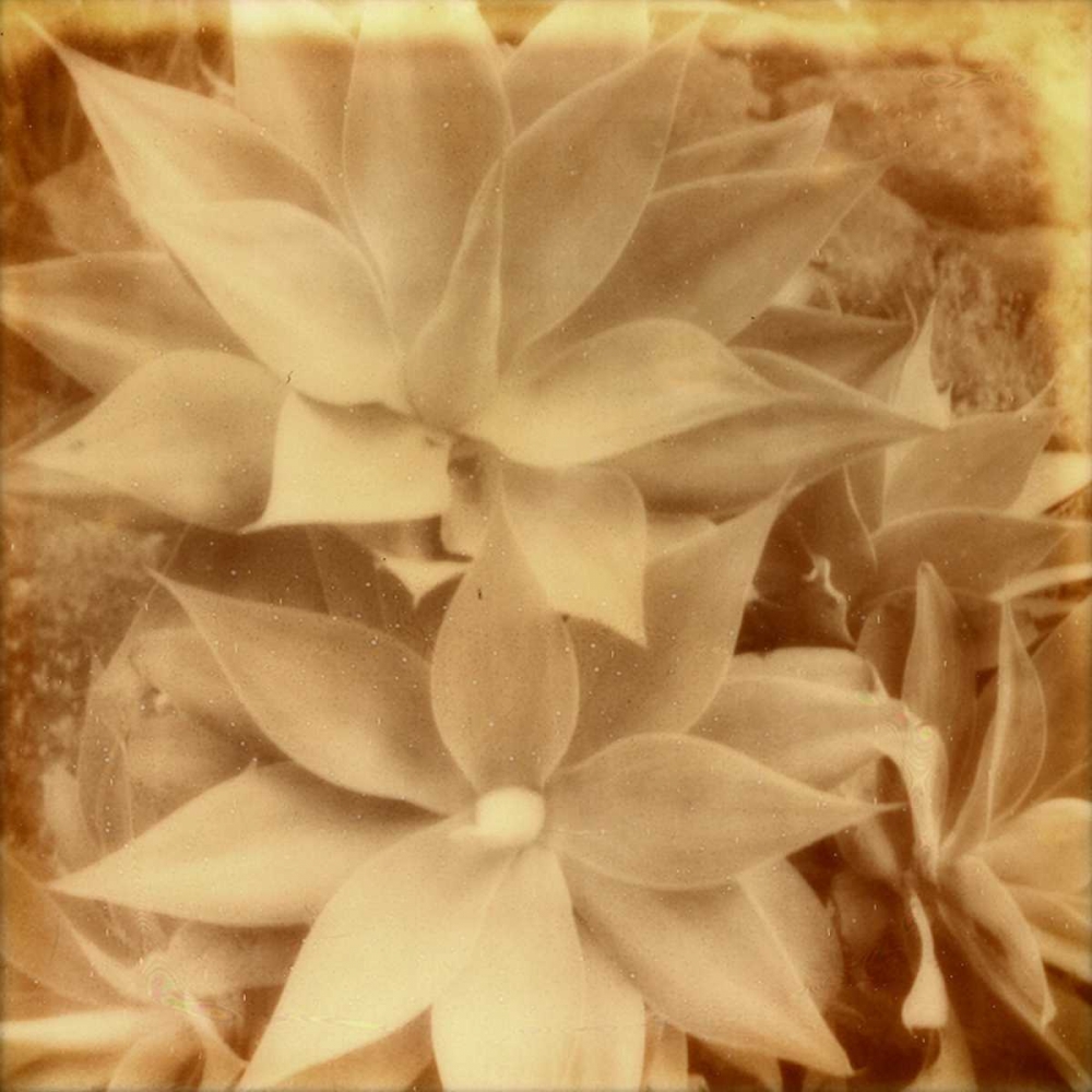 Similar wall art painting: 147524