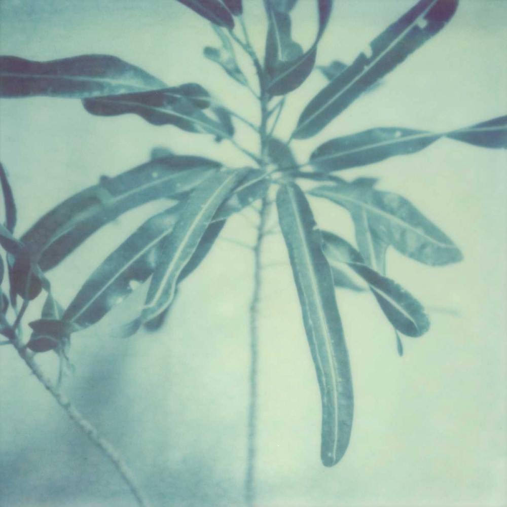 Similar wall art painting: 147538