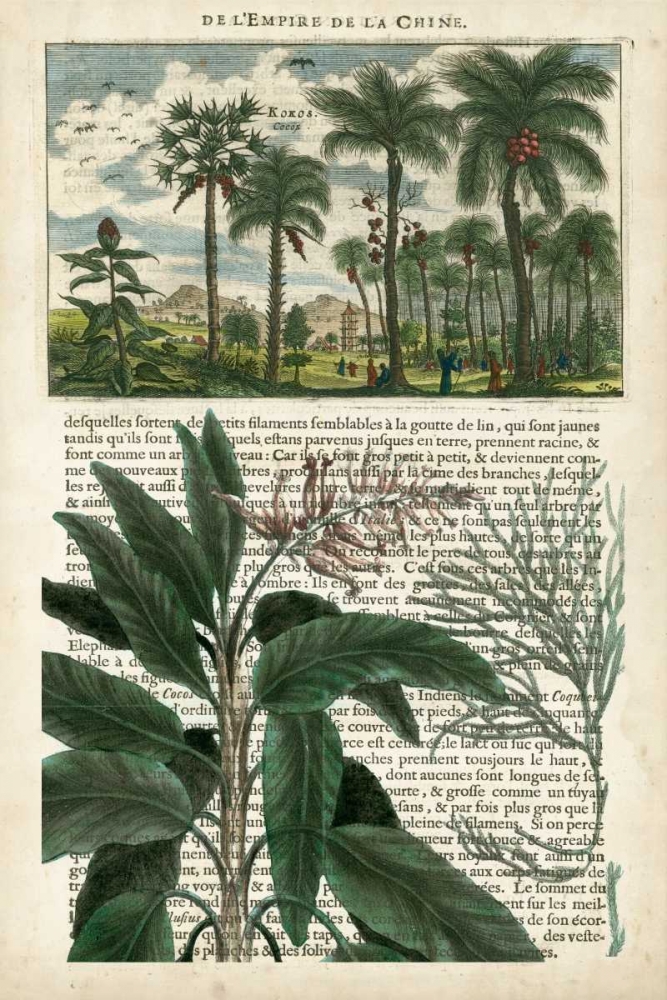 Wall Art Painting id:147576, Name: Journal of the Tropics I, Artist: Vision Studio