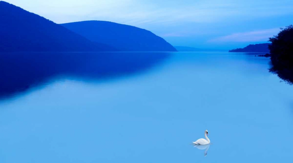 Similar wall art painting: 147618