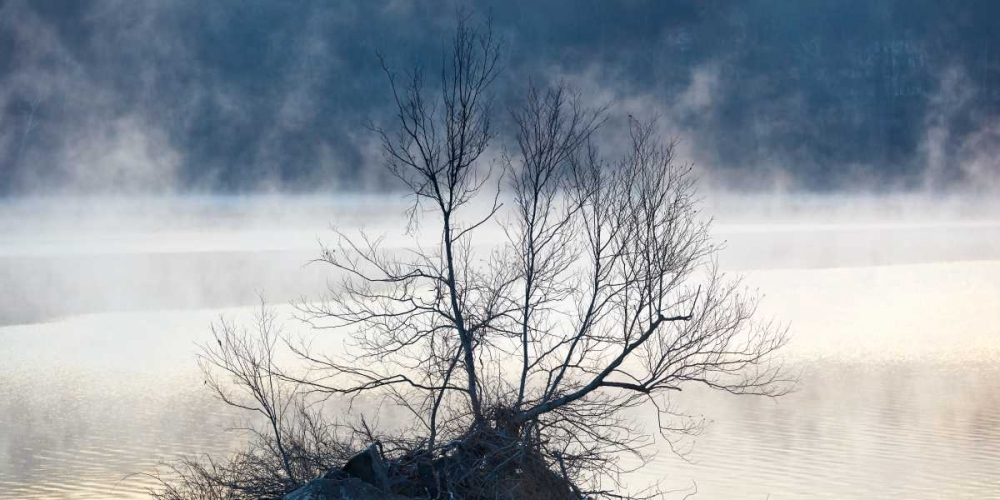 Similar wall art painting: 147621