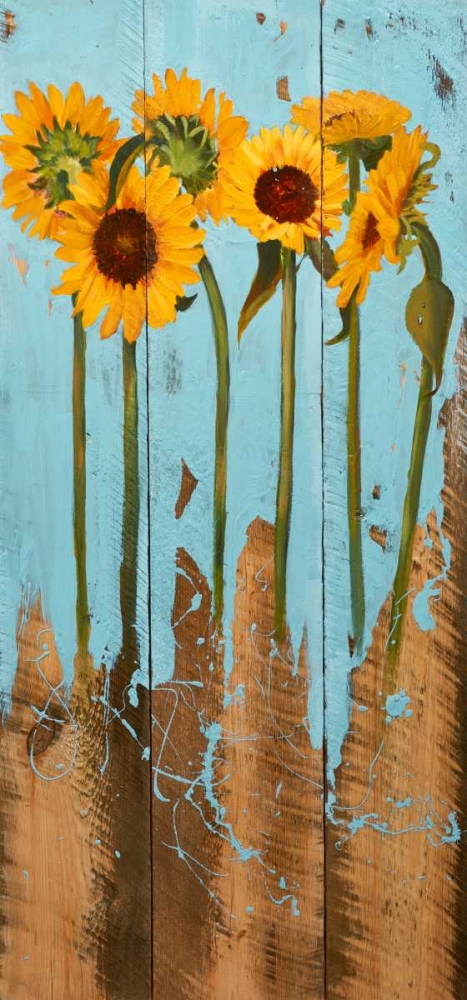 Wall Art Painting id:147830, Name: Sunflowers on Wood II, Artist: Iafrate, Sandra
